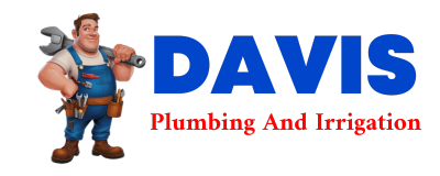 Trusted plumber in SCHENEVUS